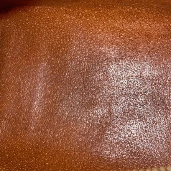 Louis Vuitton papillon 26